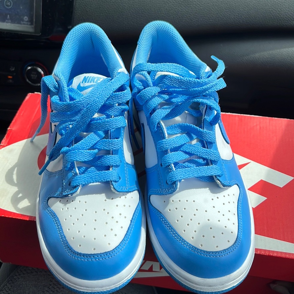 Nike Dunks